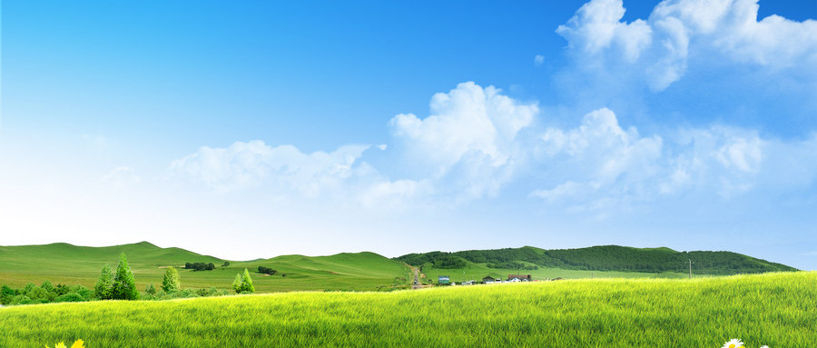 仙居學辦公軟件與計算機軟件開發 費用、路徑與前景解析